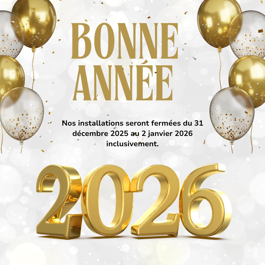 Bonne année 2026 (2)